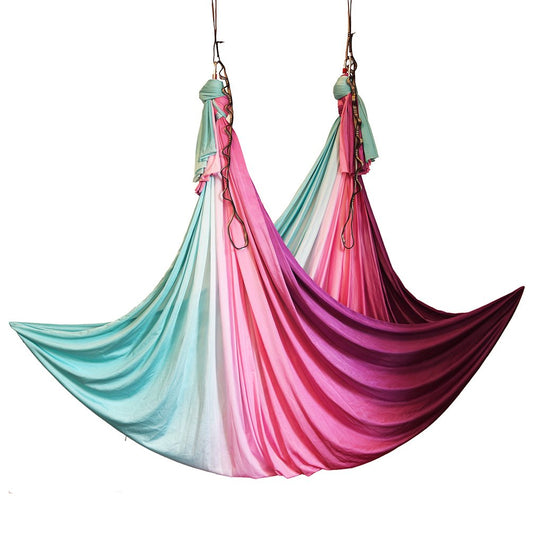 wellsem Aerial Yoga Hammock Silk Swing Set