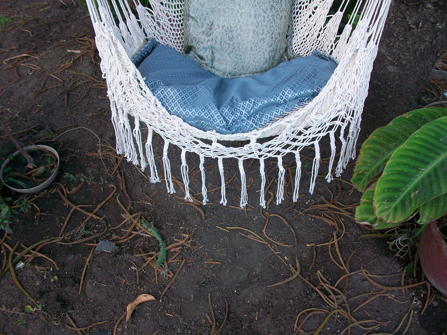Hammock Chair with Macrame Edge - Leetyahammocks